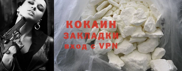 спиды Богородицк