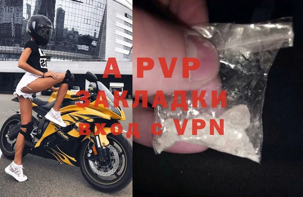 спиды Богородицк