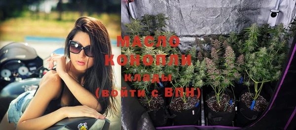спиды Богородицк