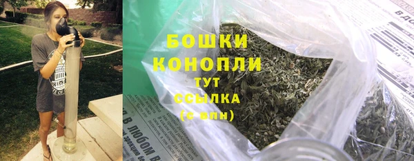спиды Богородицк
