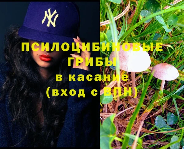 крисы Богородск