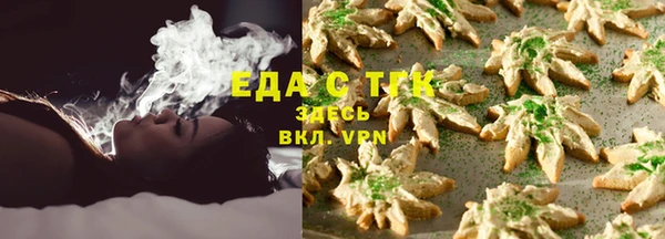 спиды Богородицк
