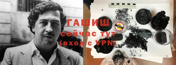 спиды Богородицк