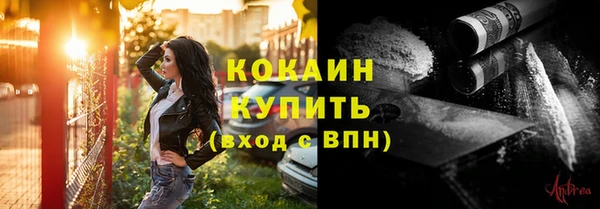 крисы Богородск
