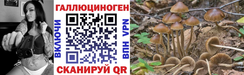 наркошоп  Волжск  Псилоцибиновые грибы Cubensis 