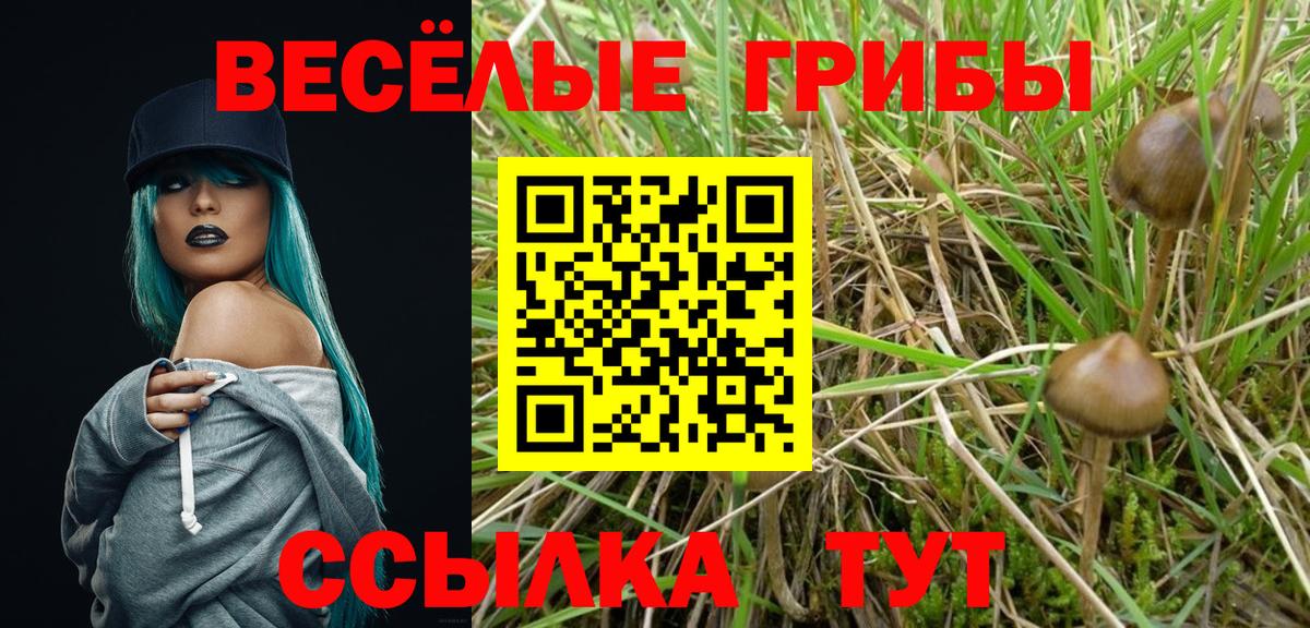Псилоцибиновые грибы мицелий Волжск