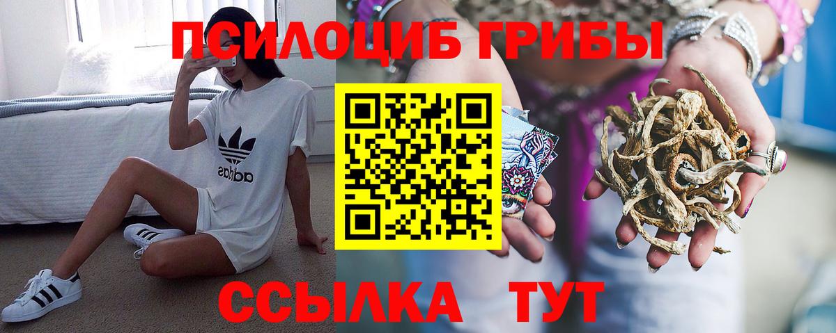 Волжск  Псилоцибиновые грибы Magic Shrooms  Вход с VPN  Псилоцибиновые грибы Psilocybine cubensis 